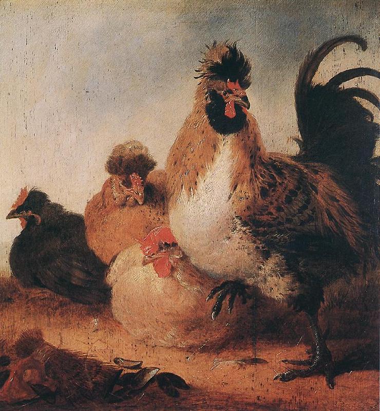 CUYP, Aelbert Rooster and Hens dfg Sweden oil painting art